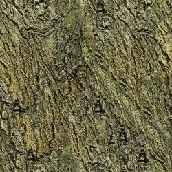 Seamless Textures of Wood & Normal Mapping